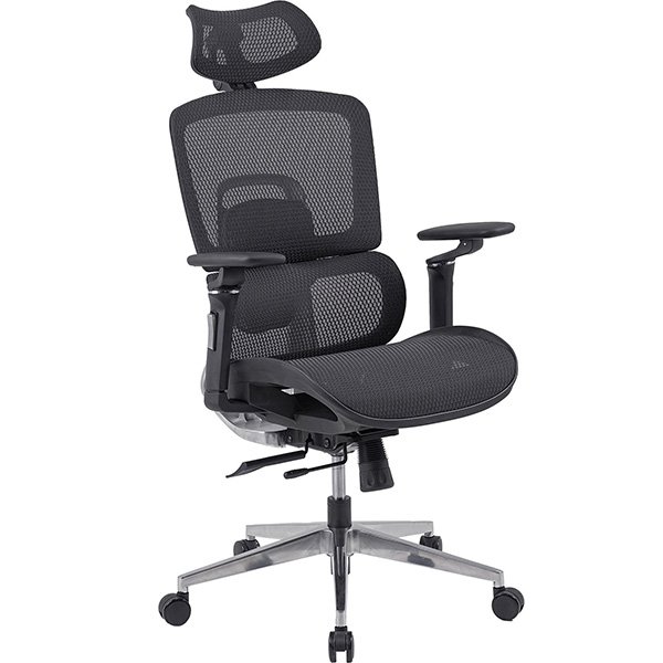 GHẾ CÔNG THÁI HỌC GLE12-2 GHẾ CÔNG THÁI HỌC GLE12-2